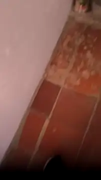 mendelicius online show from February 22, 4:19 pm