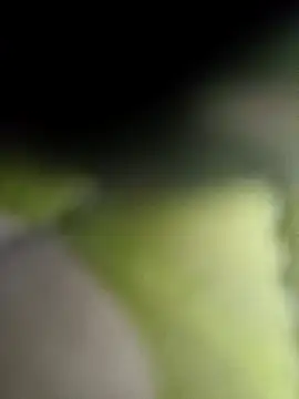 littlehornysons online show from February 9, 2:38 am