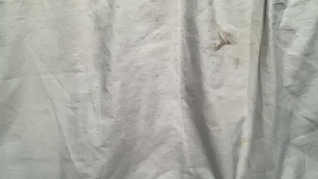 beforeyou69 online show from November 8, 4:43 pm