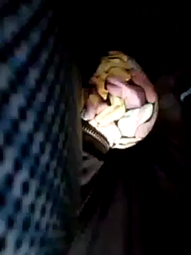 Policeman20742 online show from February 25, 6:09 pm