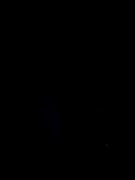 cizarkio online show from January 1, 6:15 am