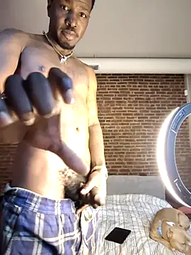 BlackD4uxo online show from April 13, 11:33 am