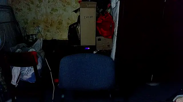 Snapshot of HilmarZ chatting on January 28, 4:30 pm HilmarZ online show from January 28, 4:30 pm