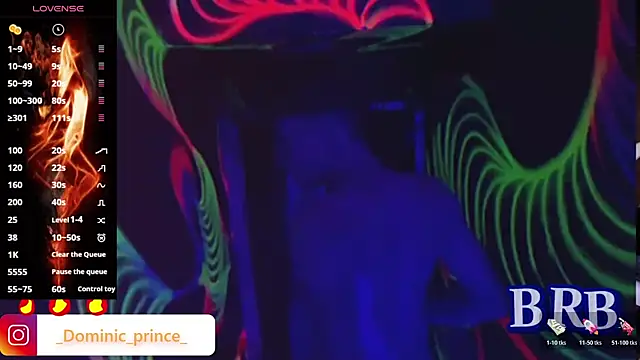 DominicPrince online show from November 13, 7:40 pm