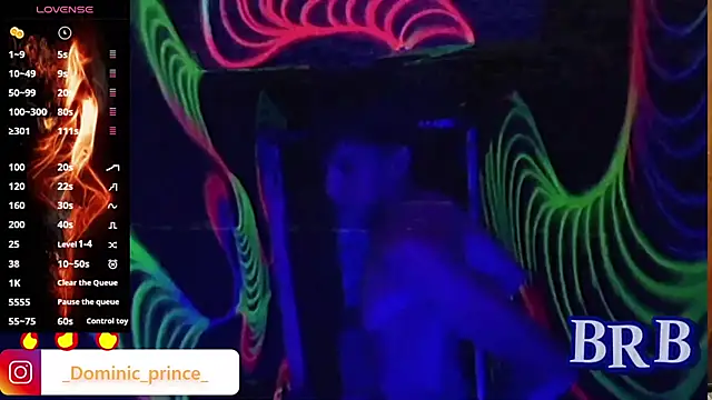 DominicPrince online show from November 15, 3:30 am