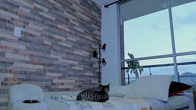 zaiin diesel online show from January 16, 11:15 am