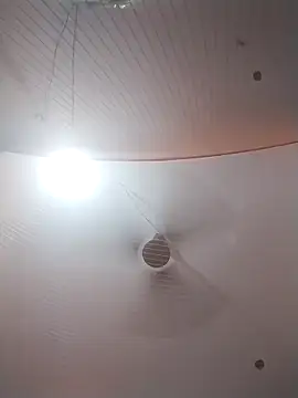 Nzfl97 online show from March 30, 4:52 pm