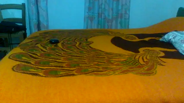 Snapshot of petan33 chatting on October 20, 7:51 pm petan33 online show from October 20, 7:51 pm