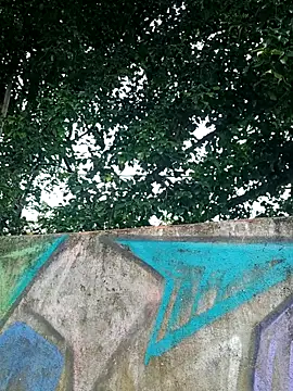 IgoramorimGG online show from March 19, 11:57 am