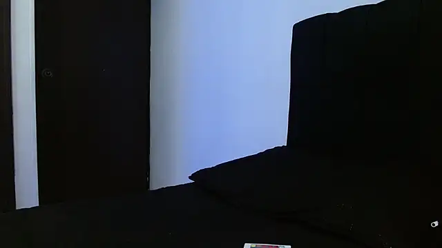 Snapshot of Hendry_ chatting on March 21, 4:17 am Hendry  online show from March 21, 4:17 am