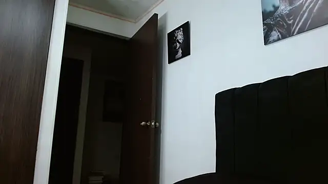 Snapshot of Hendry_ chatting on January 31, 1:33 am Hendry  online show from January 31, 1:33 am