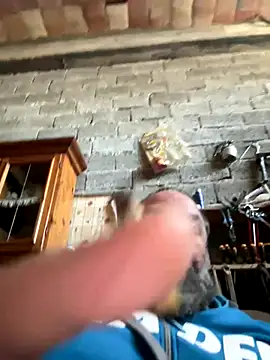 ros217 online show from October 3, 2:00 pm