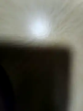 rocksrockydick online show from November 17, 8:39 am