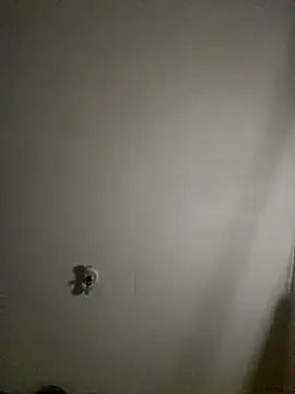 Bigchorizo559 online show from April 18, 7:10 am