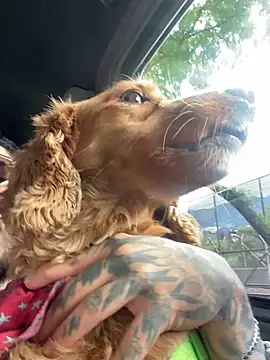 LeoSalvatore  online show from March 18, 4:29 am