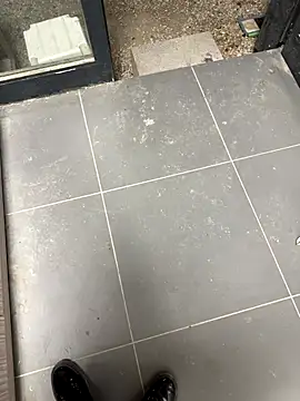 homidor online show from November 4, 3:02 pm