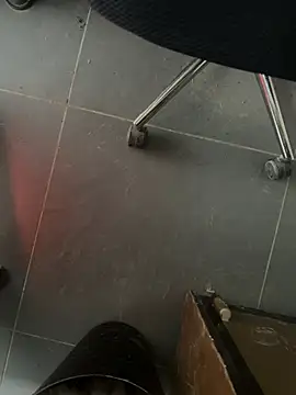 homidor online show from February 5, 1:54 pm