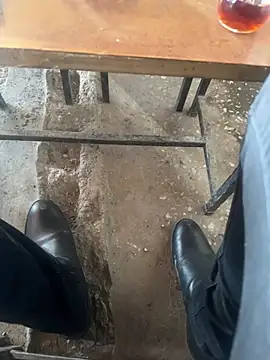 homidor online show from March 16, 1:49 pm