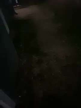 zeekBbc online show from February 8, 8:42 am