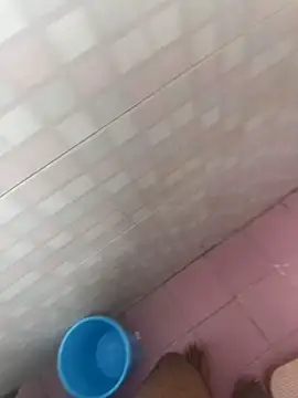 wild x predator online show from February 12, 10:54 am