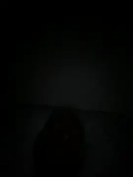 islandvybee55 online show from December 18, 9:47 am