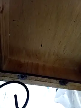 DaniSexFlow online show from October 13, 4:40 am