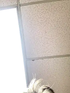 Snapshot of Tonybaloney1972 chatting on October 31, 8:56 pm Tonybaloney1972 online show from October 31, 8:56 pm