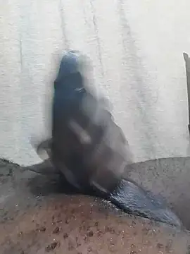 Snapshot of Dick_undisputed chatting on February 23, 12:11 pm Dick undisputed online show from February 23, 12:11 pm