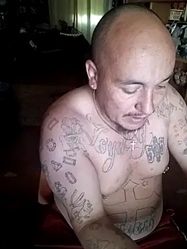 wilsons12 online show from March 23, 2:34 pm