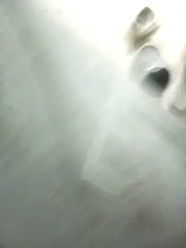 strip 1212 online show from February 23, 6:04 am