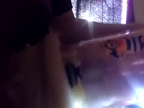 6MataGarcia online show from January 4, 10:34 pm