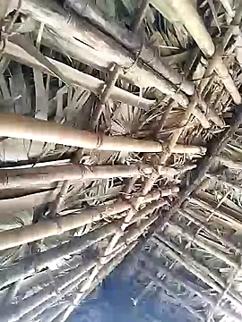 Mrveda66 online show from February 9, 6:18 am