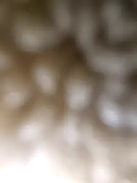 ch   ro69 online show from March 5, 9:22 pm