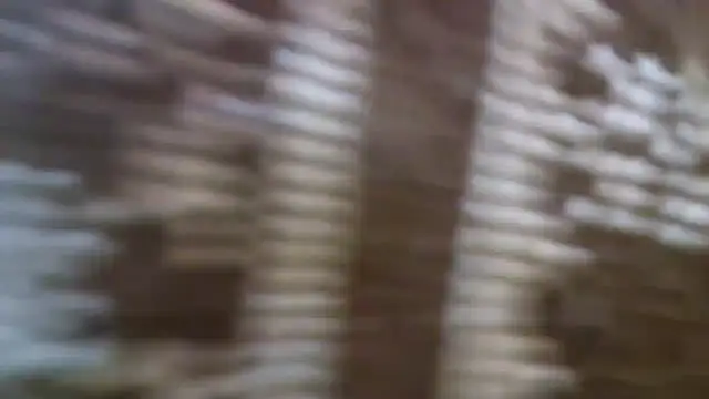 10Wien11F online show from March 2, 9:19 pm