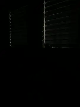 Rahul sub online show from March 9, 7:48 pm