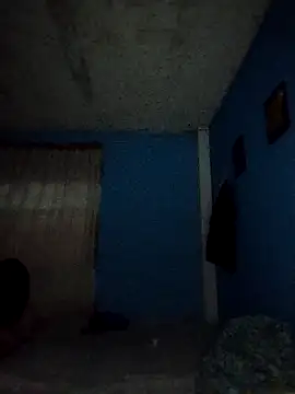 Jerc 19 online show from April 11, 8:07 am