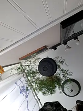 Snapshot of clitstitsandbongrips chatting on January 10, 7:00 pm clitstitsandbongrips online show from January 10, 7:00 pm