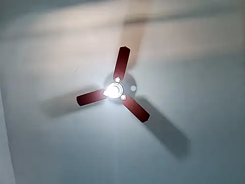 Gostozim7 online show from February 5, 4:37 pm