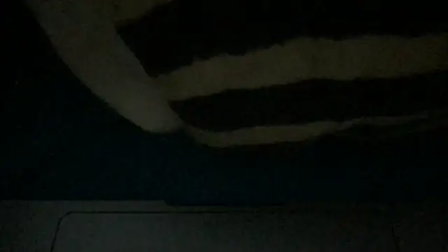 tipico0799 online show from January 24, 12:10 am