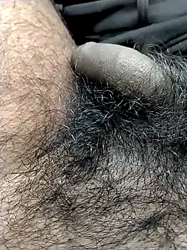 jellydicks online show from October 30, 7:59 pm