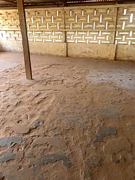 Black mamba madingo online show from March 10, 10:50 am