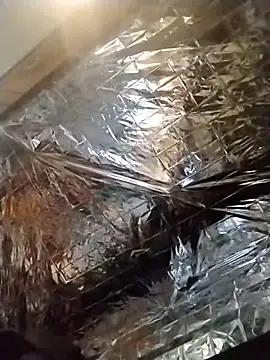 axelongshaft69 online show from December 19, 1:50 am