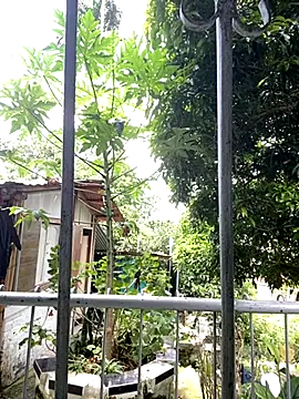 Jestebanano online show from September 21, 4:07 pm