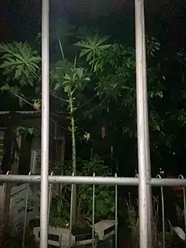 Jestebanano online show from September 18, 12:56 am