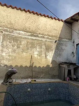 Leo bunny hot online show from March 3, 8:39 pm