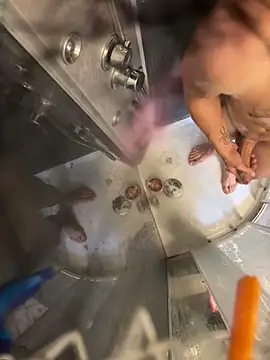 Snapshot of lescro95_ chatting on October 6, 2:22 pm lescro95 online show from October 6, 2:22 pm