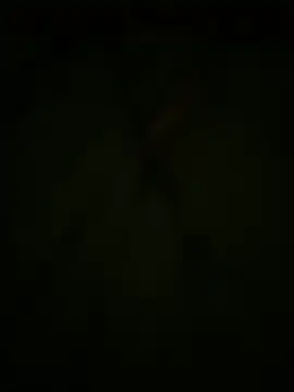 Snapshot of lescro95_ chatting on October 27, 7:54 am lescro95 online show from October 27, 7:54 am