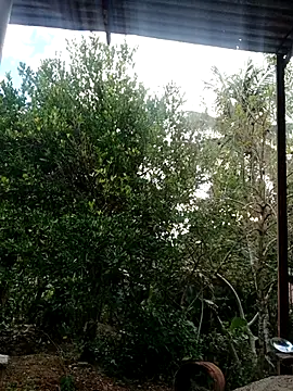 elputoflaco online show from January 9, 11:48 am