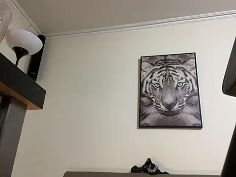 mesetti online show from February 14, 8:05 pm