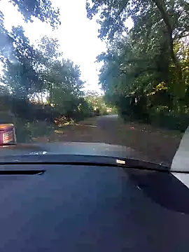 nataliecdlive online show from September 22, 8:03 am